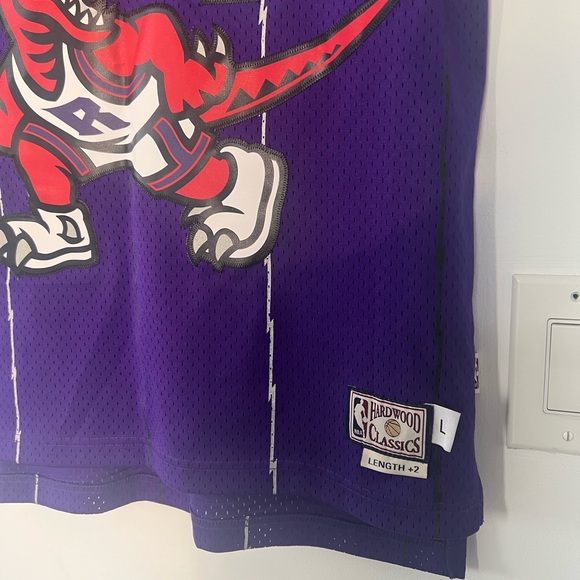 Toronto Raptors Tracy McGrady Throwback Jersey - Picture 4 of 6